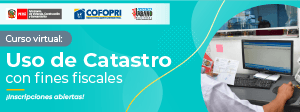 C5. Uso de Catastro con fines fiscales